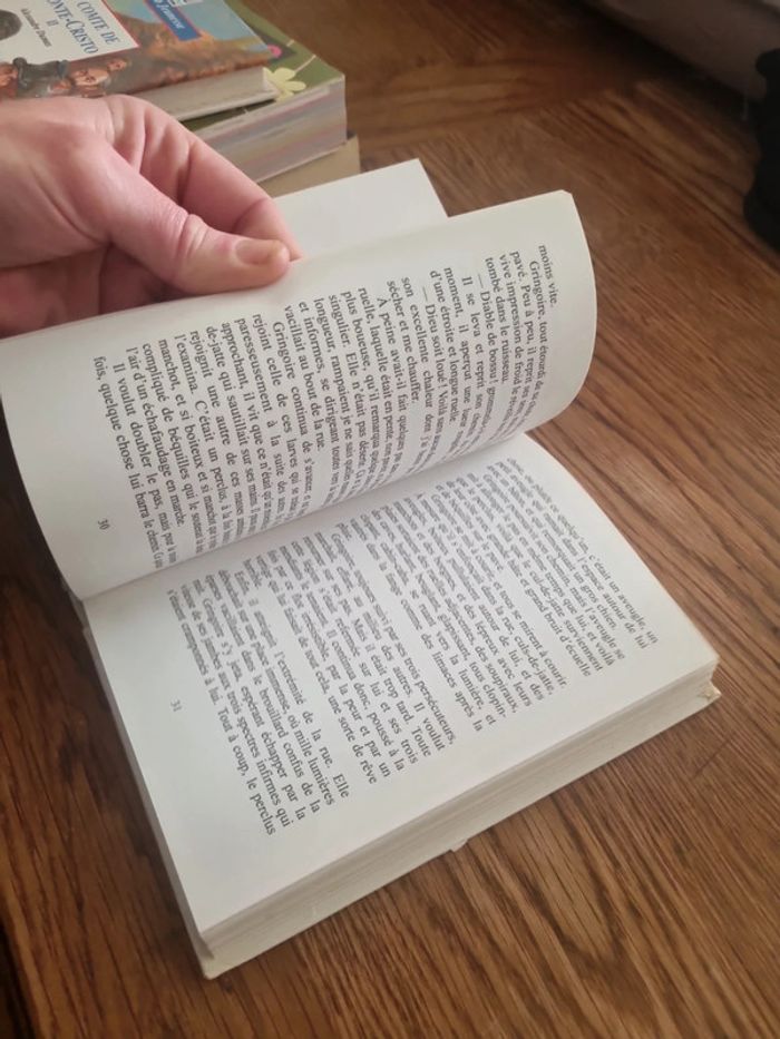 Notre Dame de Paris Victor Hugo - photo numéro 9