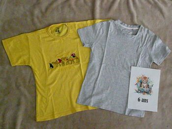 Lot de 2 tee-shirts garçon 6 ans (n°27)