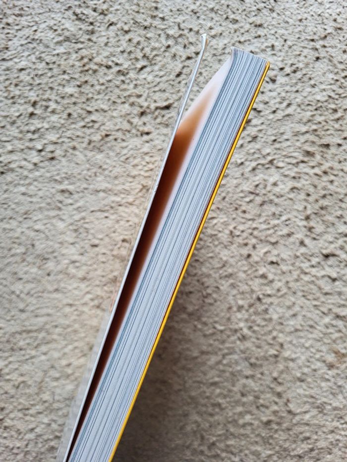 Livre de Jacques Attali Amours, histoires des relations entre les hommes et les femmes - photo numéro 3