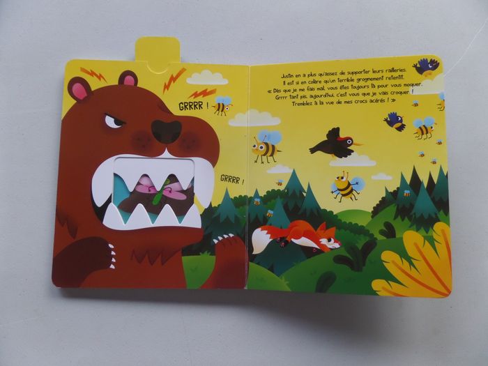 Justin l'ours brun - photo numéro 3