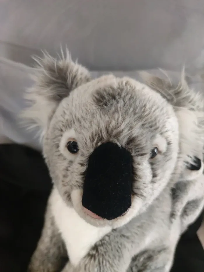 Peluches coala avec sa bébé - photo numéro 5