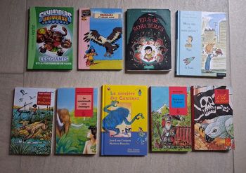 Lot 6 romans enfant 