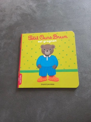 Livre petit ours brun est grognon