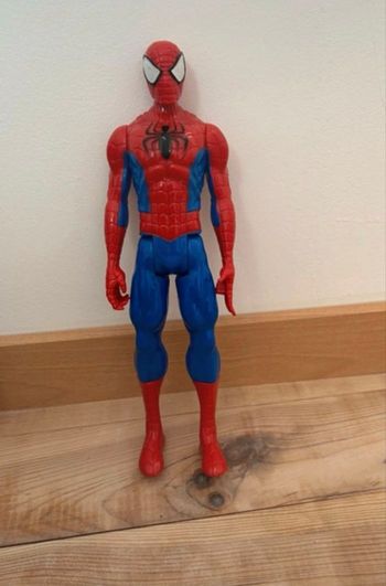 Spider mal