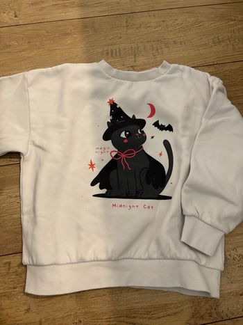 Sweat chat Halloween 8 ans 