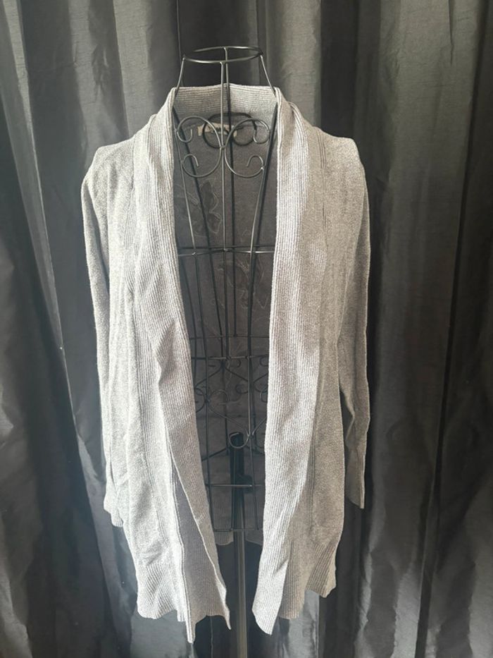 Joli gilet papillons dentelle – Queens – Taille unique - photo numéro 3