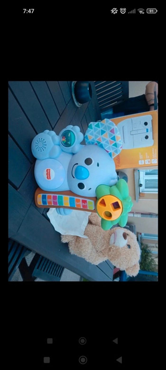 Koala musicale