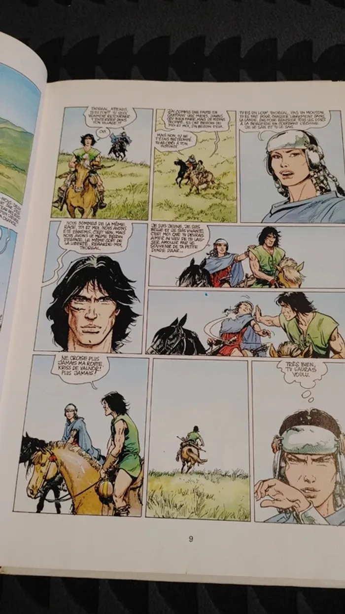Bande dessinée Thorgal la forteresse invisible - photo numéro 2
