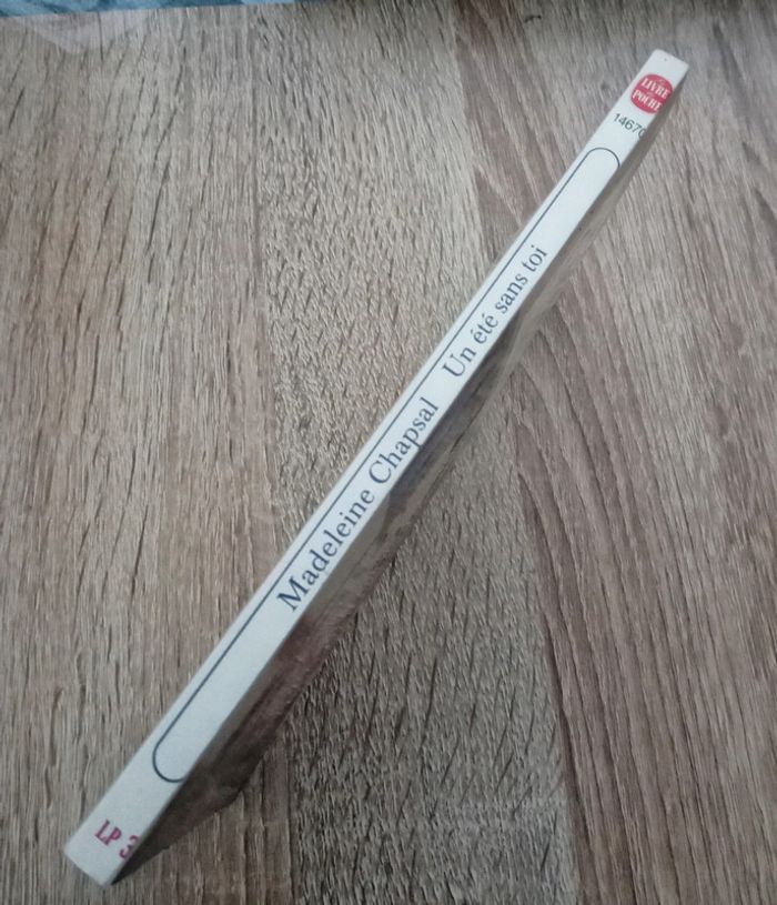 Madeleine Chapsal 🪅 Un été sans toi - photo numéro 3