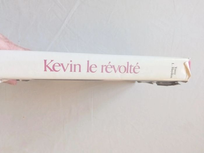 Kévin le révolté - photo numéro 6