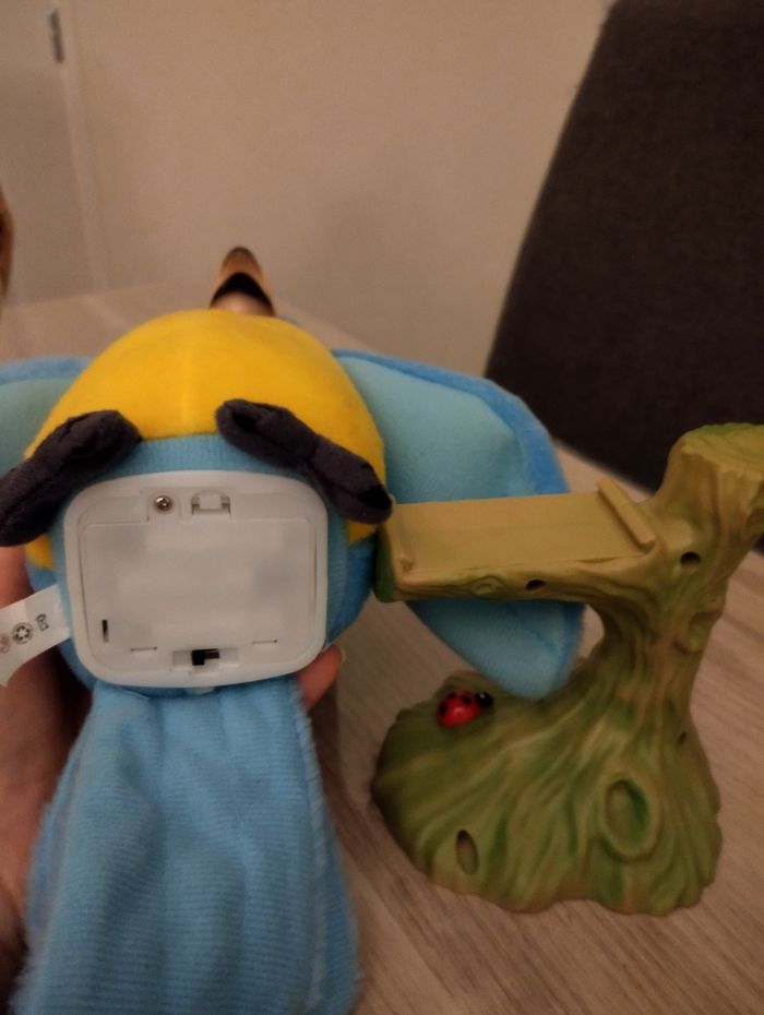 Perroquet parlant - photo numéro 8