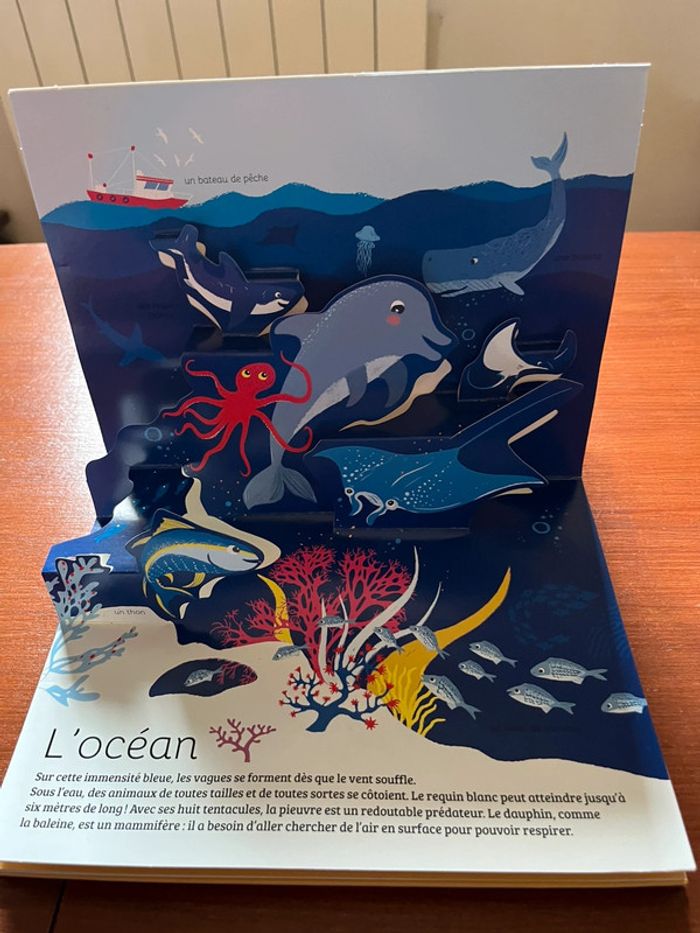 Livre en relief - photo numéro 2