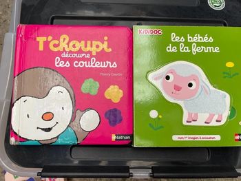 2 livres tchoupi et kididoc