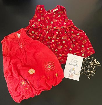 Lot 2 robes velours 12M