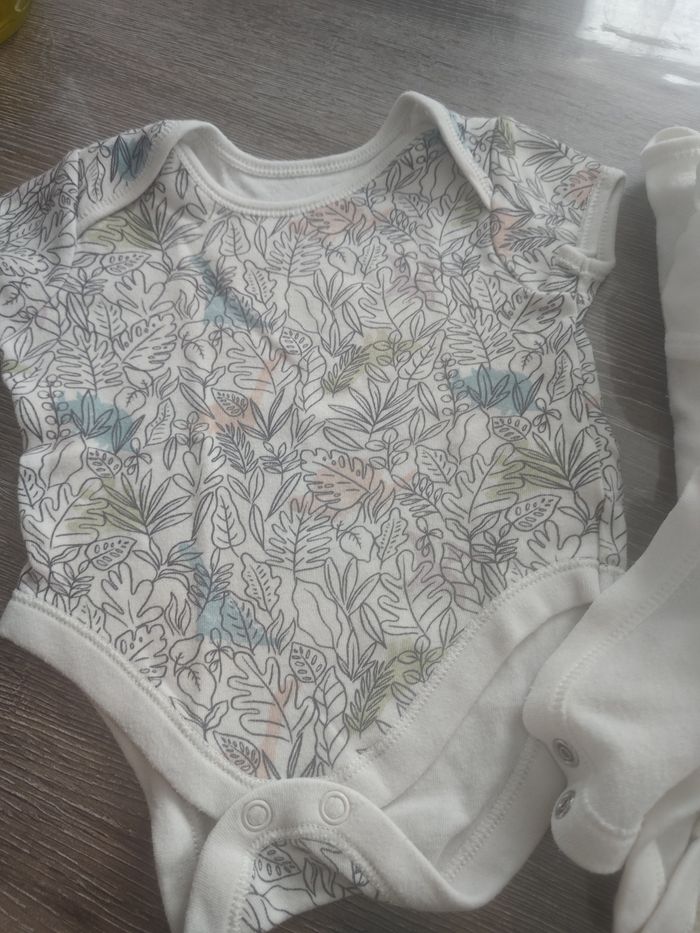 Lot de bodies - photo numéro 2