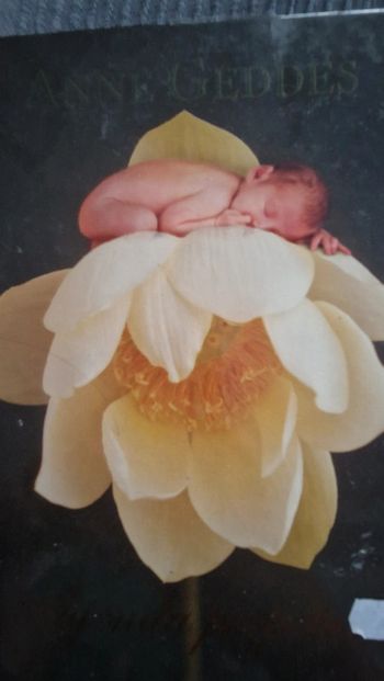 Agenda perpétuel anne geddes