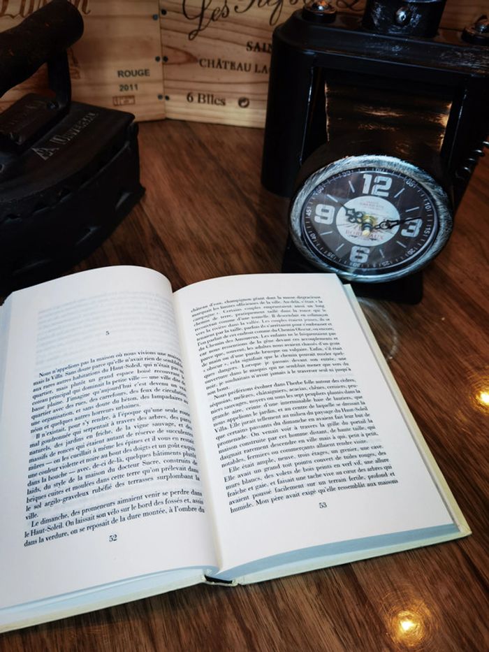 D2897 - Livre "le petit garçon" - photo numéro 3