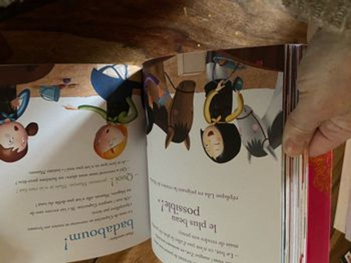 Gros livre - photo numéro 3