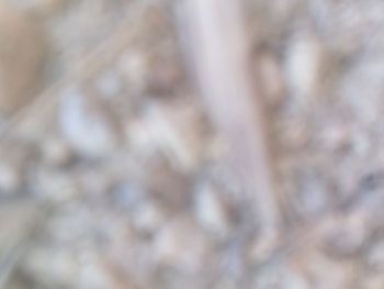 Recherche 12 et 18 mois