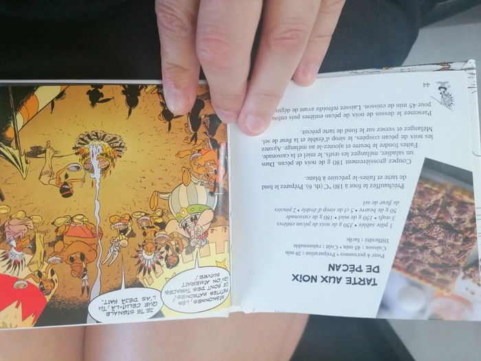Livres cuisine Asterix et Obélix #livres_krocaro - photo numéro 17