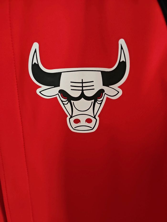 🔥Veste Chicago Bulls 🐃 City Edition T.M - photo numéro 2