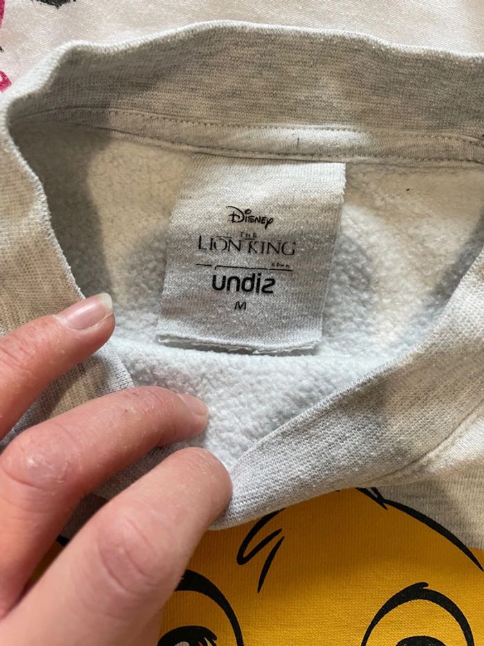 Pull simba - photo numéro 2