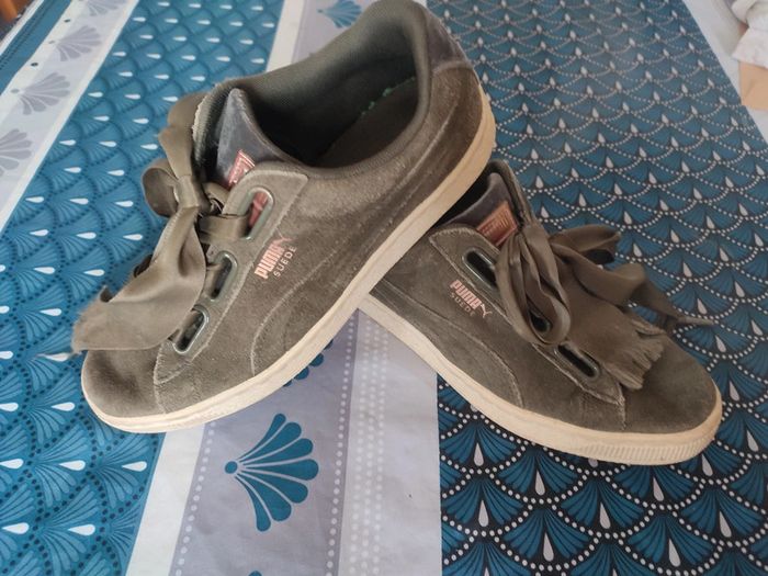 Puma kaki 38