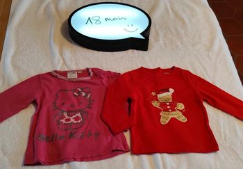Lot 2 tee-shirt manches longues 18 mois