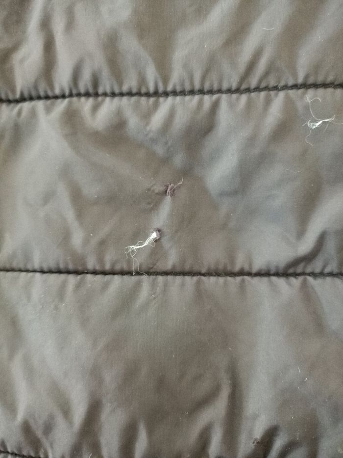 Veste - photo numéro 2