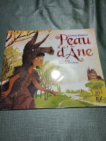 Livre enfant peau d âne 