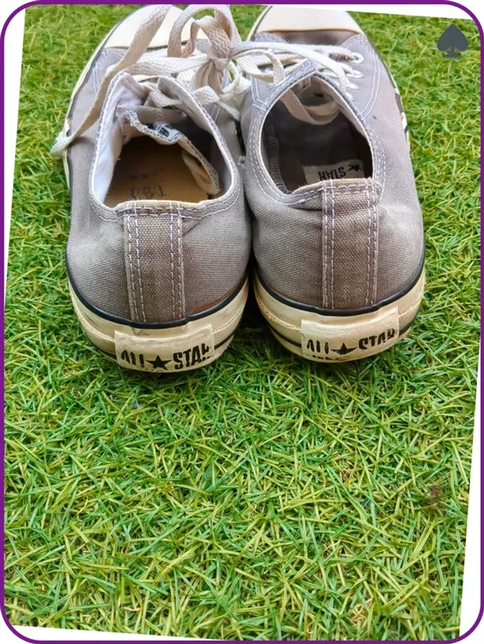 Converse courte homme Gris - photo numéro 3