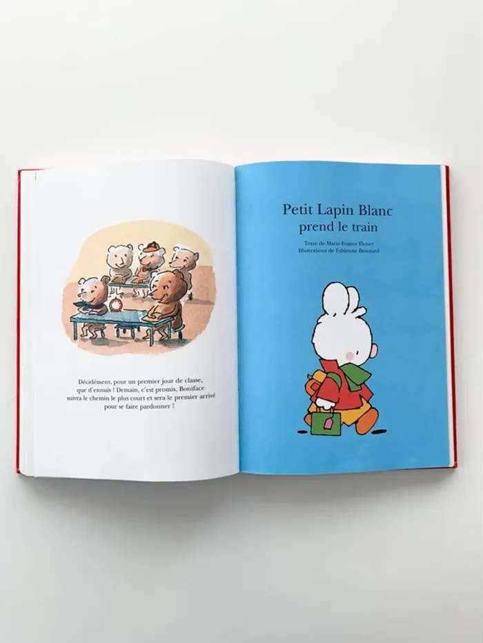 Livre raconte moi une histoire 📕 - photo numéro 4