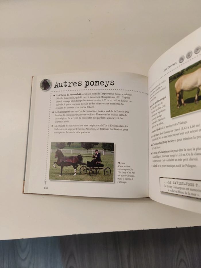 🙂 livre 1000 infos sur les chevaux 🙂 - photo numéro 4