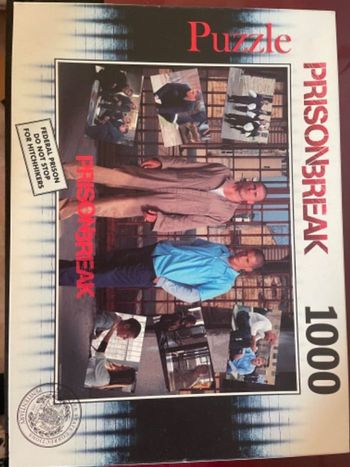 Puzzle prison break