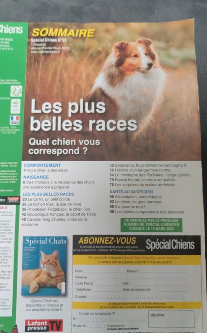 Magazine spécial chiens numéro 55 trimestriel - photo numéro 3