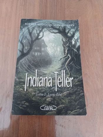 Indiana Teller tome 2 l'une d été