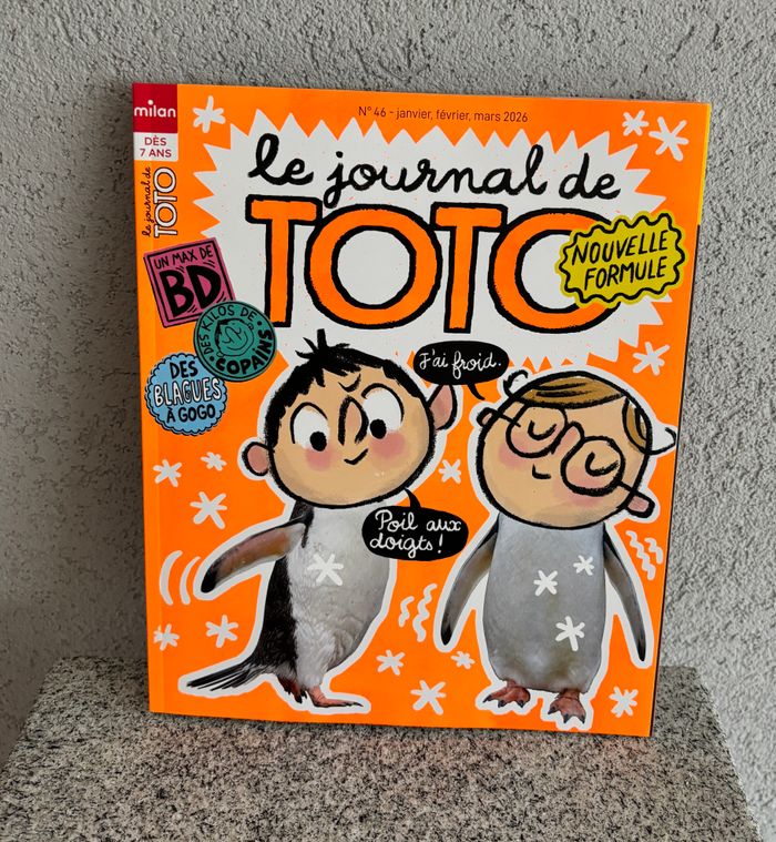 Livre le journal de Toto