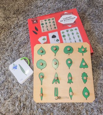 Cabinet de botanique montessori nature et découverte 