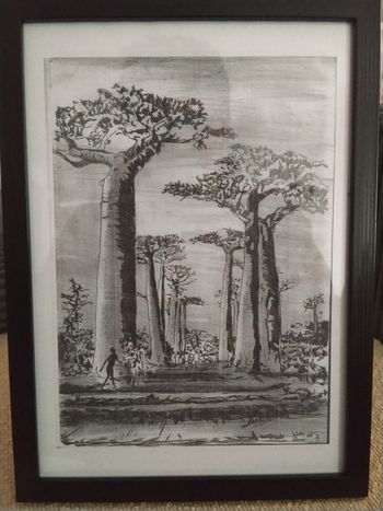 Paysage photo murale