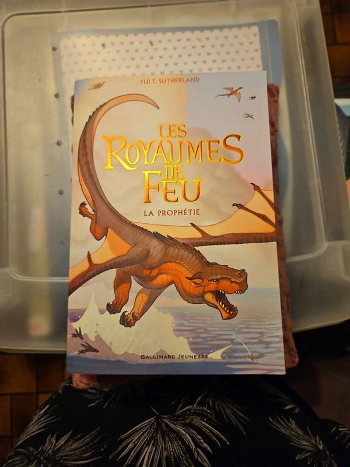 Les royaumes de feu