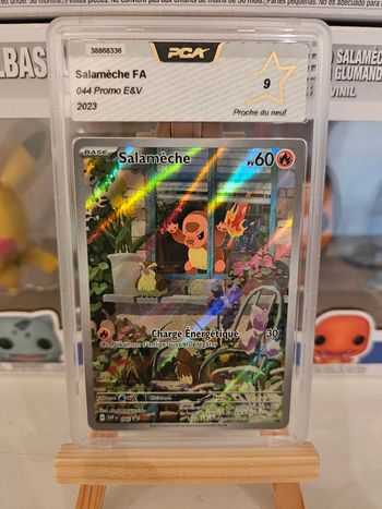 Salamèche promo etb PCA 9