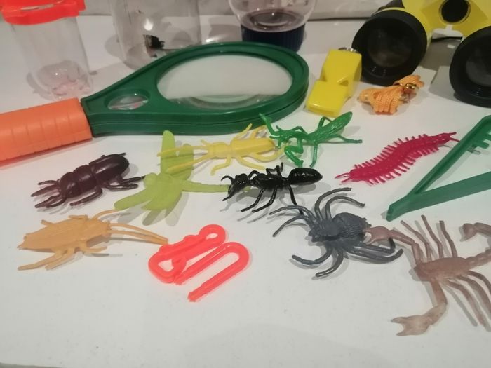 Kit d observation de la nature - photo numéro 6