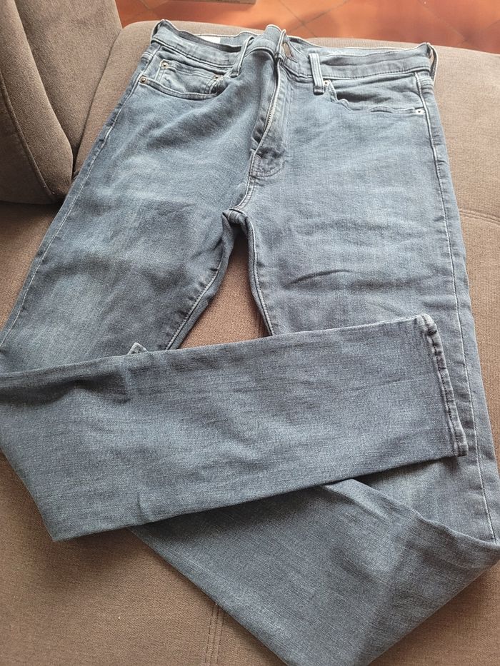 Jean Levi 's