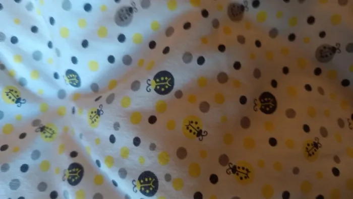 Turbulette orchestra mixte T2 - photo numéro 9