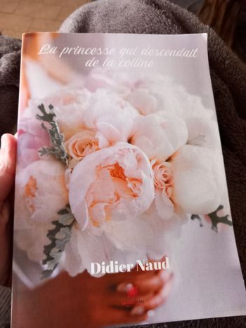 La princesse qui descendait de la colline - Didier Naud