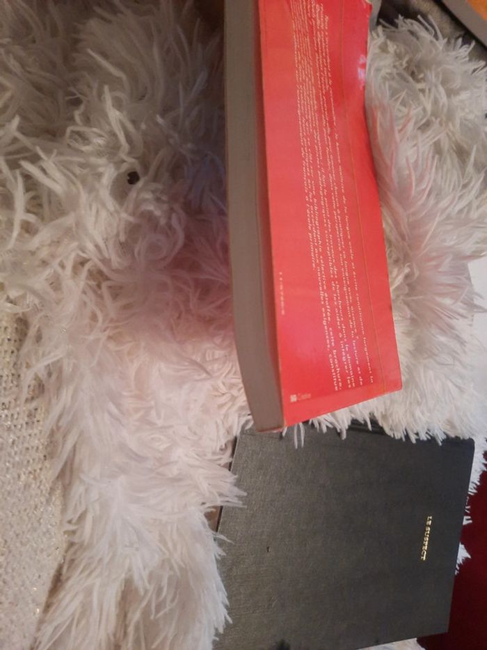 La maitrise de la langue à l'école - photo numéro 7