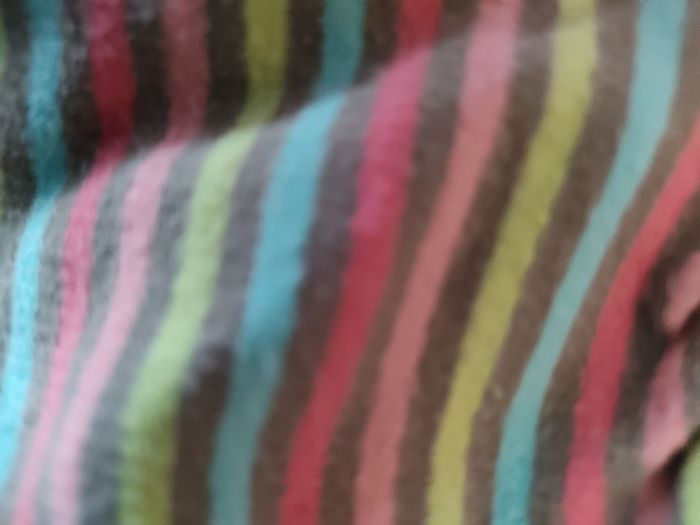 Gilet à capuche 12 mois - photo numéro 2