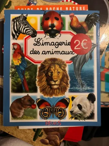 Livre enfant