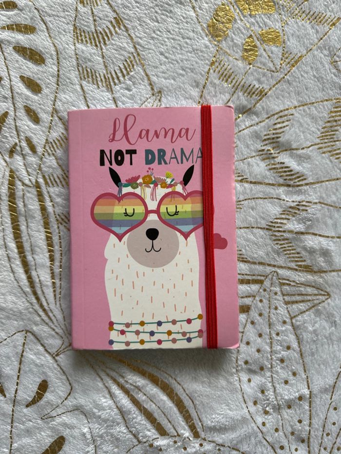 Petit carnet décor lama