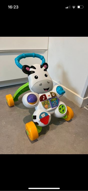 Trotteur d’activité zèbre